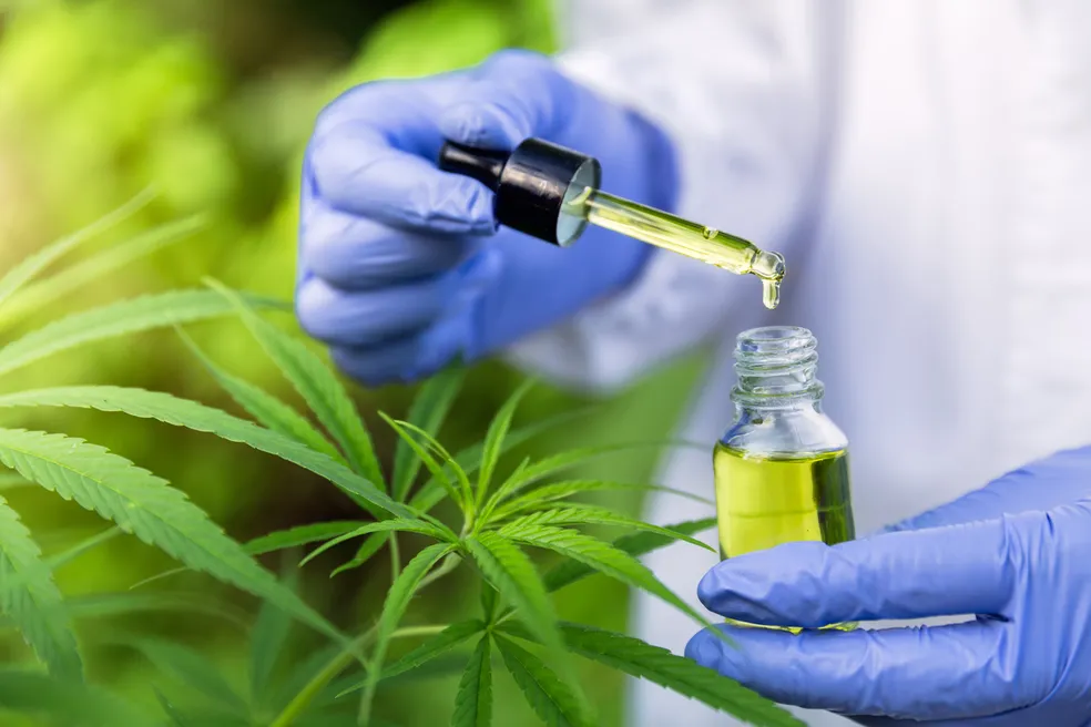 São Cristóvão sanciona lei que autoriza o uso medicinal da Cannabis