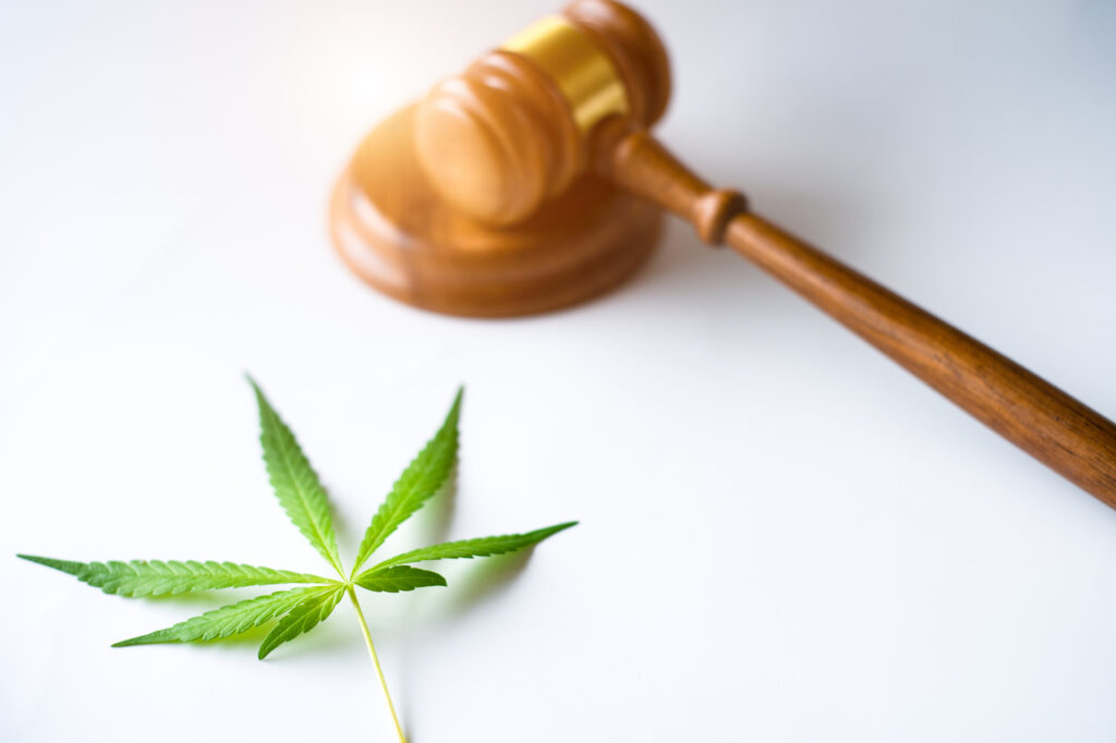 Sem cannabis para o uso domiciliar? Entenda a decisão do STJ