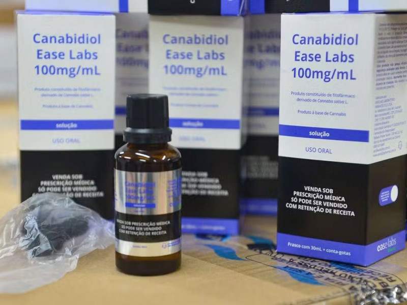 Vereadores votam uso de cannabis para fins medicinais