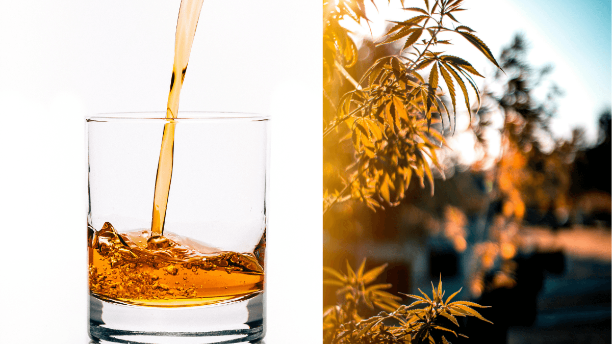 novo hábito dos consumidores preocupa setor de bebidas