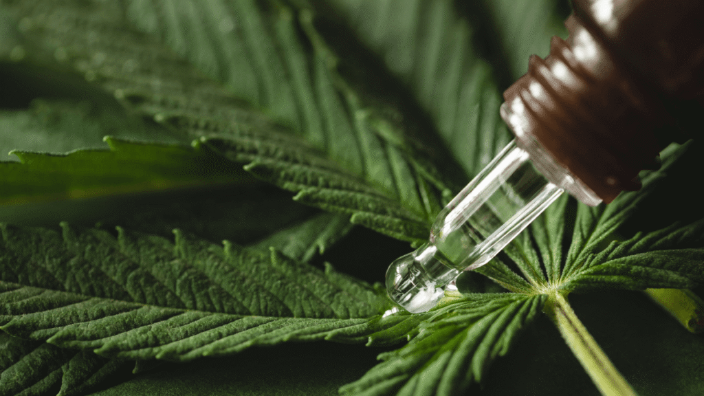 A esperança no tratamento da inflamação crônica pode estar na cannabis medicinal