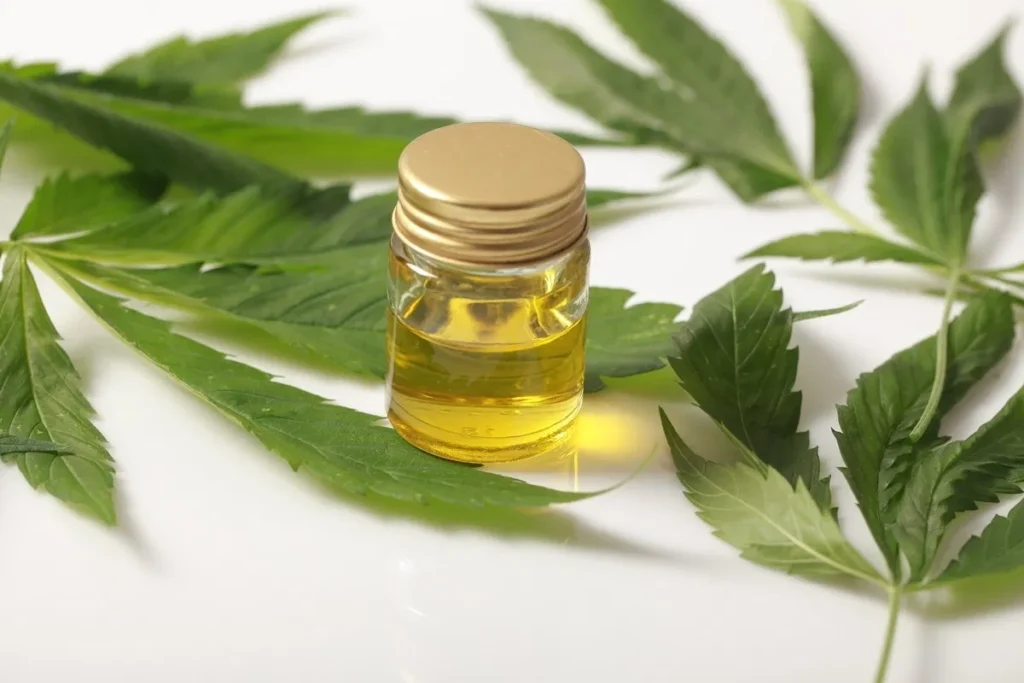 Alesc vai discutir fornecimento gratuito de cannabis medicinal