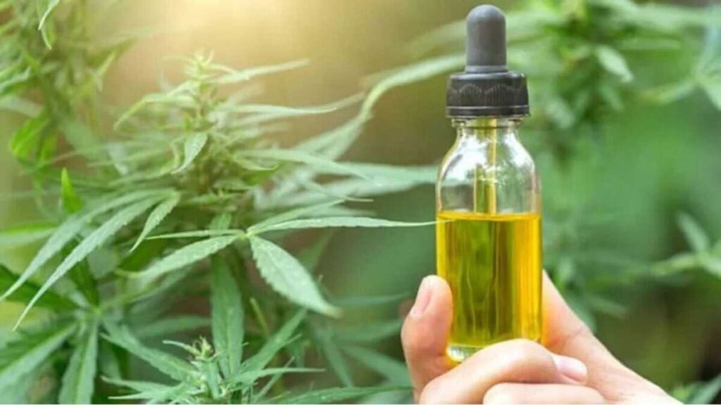 Anvisa proíbe quatro produtos por uso do nome Cannabis; confira quais