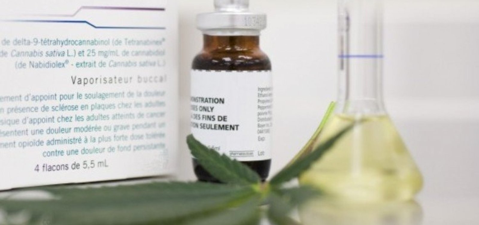 Bahia Promulga Lei que Garante Fornecimento Gratuito de Medicamentos à Base de Canabidiol