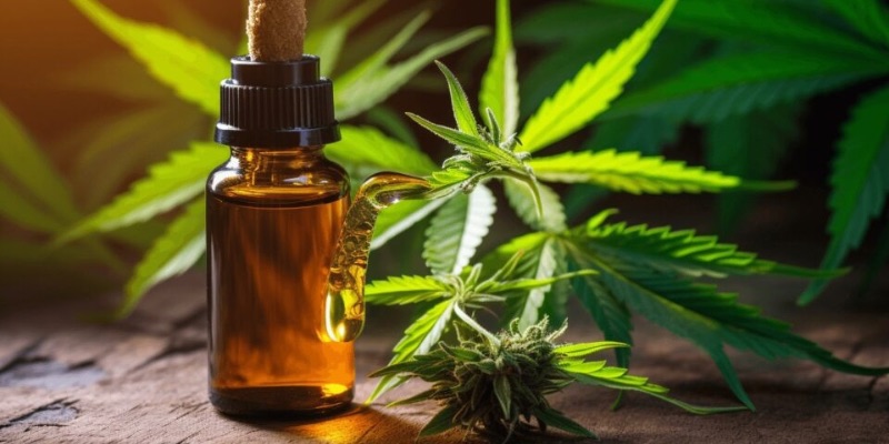 Bahia garante distribuição gratuita de medicamentos à base de canabidiol pelo SUS – Jornal da Chapada