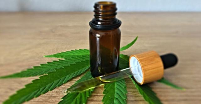 Bahia vai distribuir gratuitamente medicamentos à base de canabidiol pelo SUS