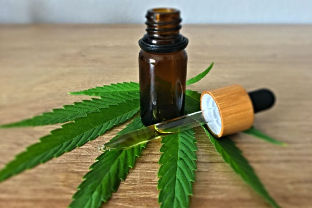 Cannabis medicinal: Instituto abre agenda para consultas médicas gratuitas com especialistas | Mais Saúde