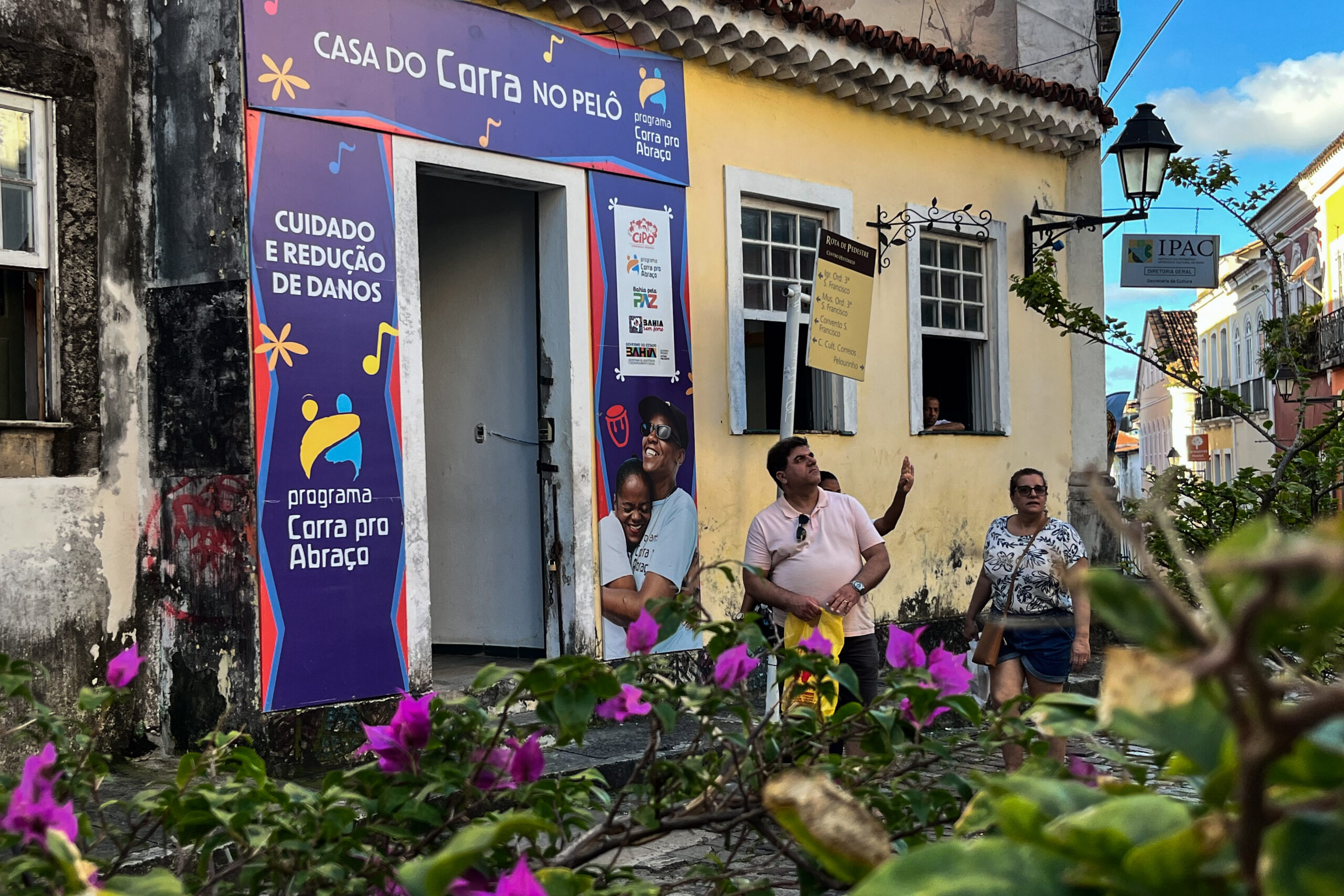 Cannabis vai tratar a dependência de álcool e crack; saiba como