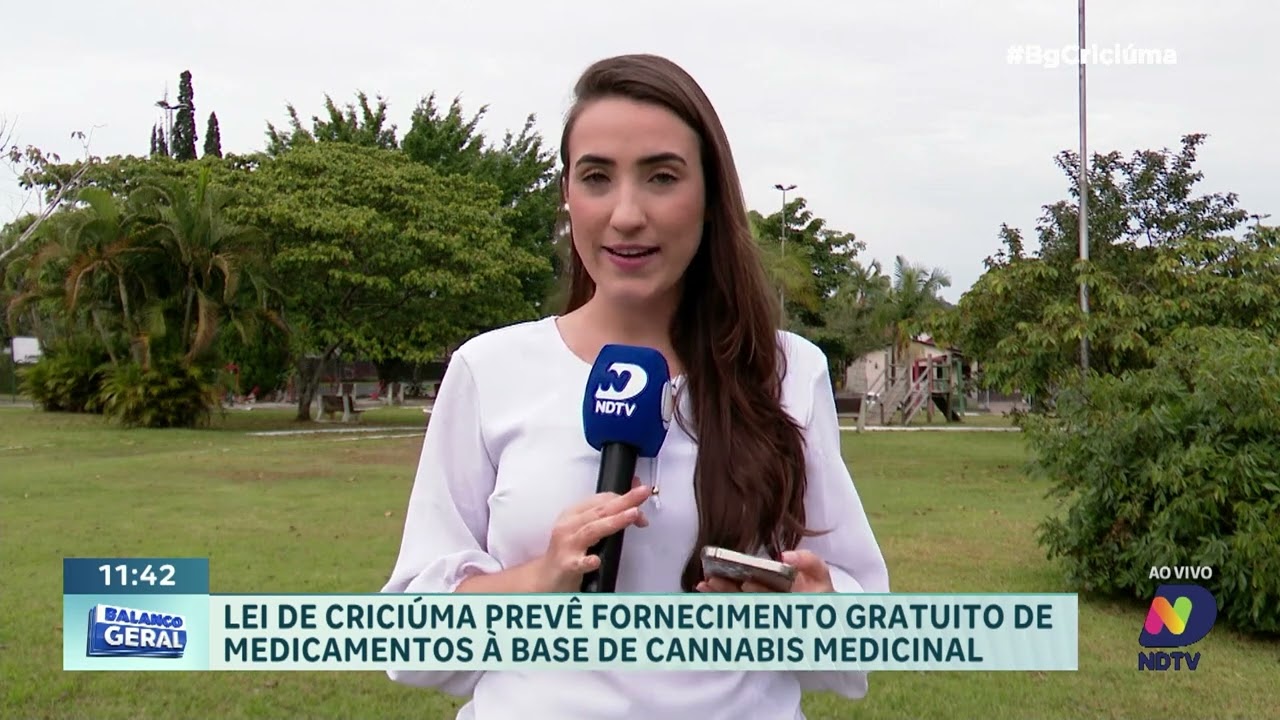 Criciúma tem lei para fornecimento gratuito de cannabis medicinal