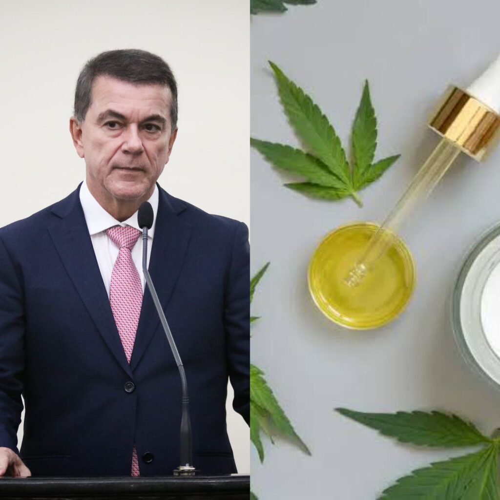 Governo regulamenta uso gratuito de cannabis medicinal em Alagoas Lei de autoria de Ronaldo Medeiros