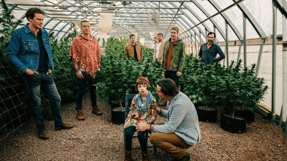 Irmãos que mudaram o CBD agora desenvolvem medicamentos com cogumelos mágicos