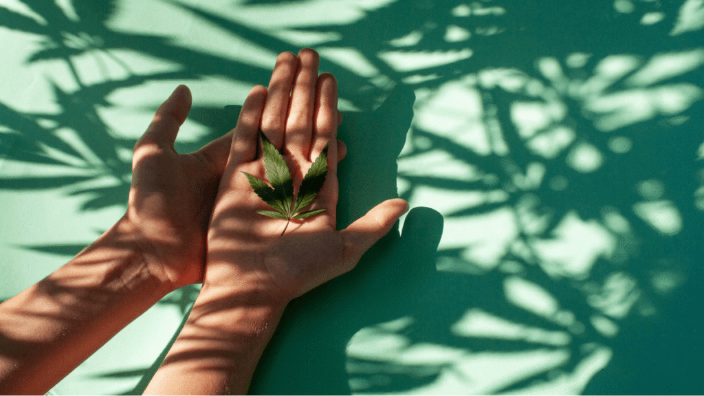 Ministra da Saúde da Alemanha propõe restrições ao acesso à cannabis medicinal