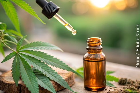 Plano não tem de cobrir medicação à base de canabidiol destinada a uso domiciliar e não listada pela ANS