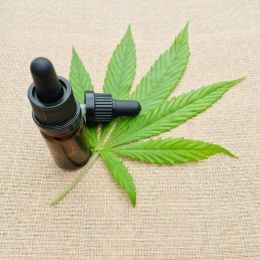 Uso de cannabis medicinal será tema de audiência pública em SC